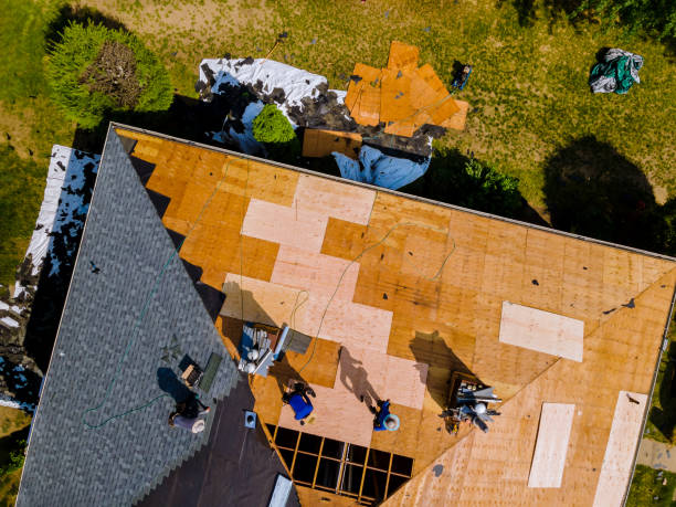 Best Roof Leak Repair  in Buchanan, MI