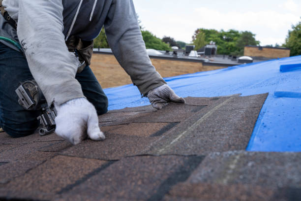 Best Best Roofing Contractors  in Buchanan, MI