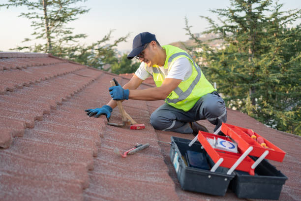 Best Roof Restoration Services  in Buchanan, MI