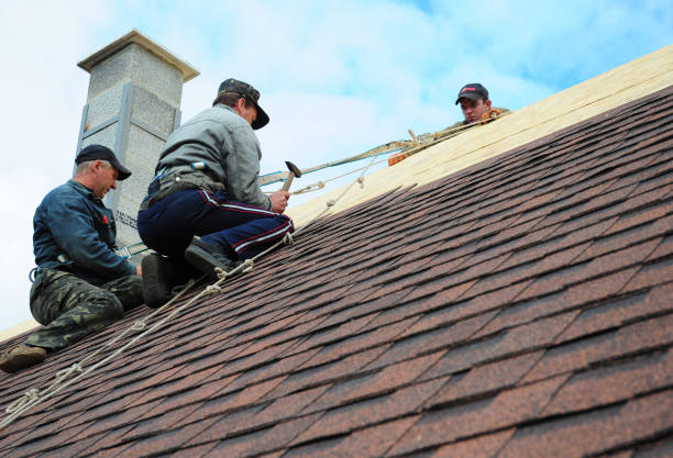 Best Shingle Roofing Installation  in Buchanan, MI