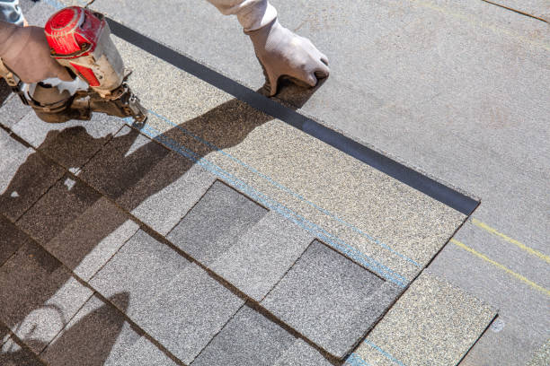 Best Roof Inspection Near Me  in Buchanan, MI