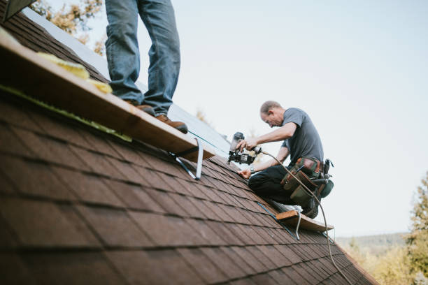 Best Residential Roofing Contractor  in Buchanan, MI