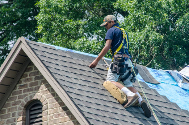Best Residential Roofing Contractor  in Buchanan, MI